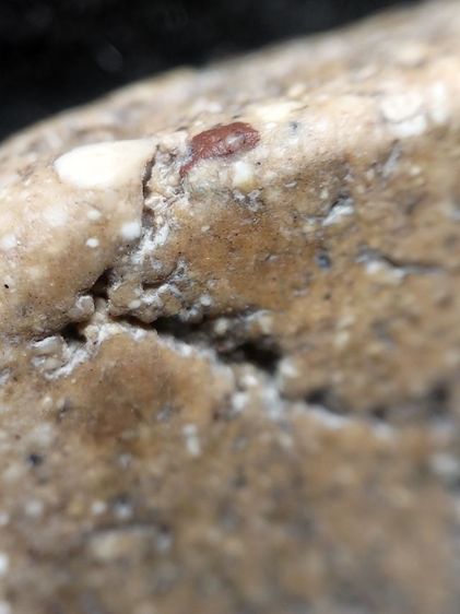 พระสมเด็จพิมพ์เจดีย์เนื้อสวยครับ รูปที่ 10