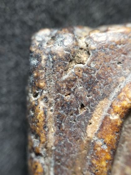 พระสมเด็จพิมพ์ใหญ่เนื้oหาจัดจ้านเก็บเก่าครับ รูปที่ 11