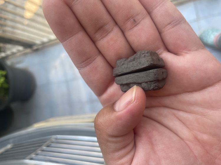 หลวงปู่ทวด รูปที่ 5