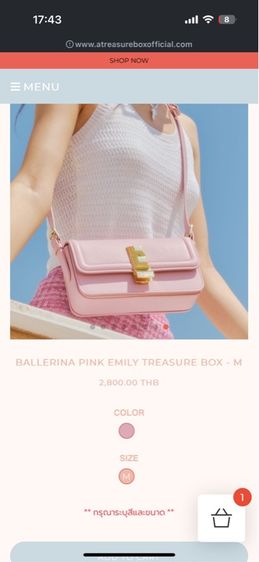 กระเป๋า รูปที่ 9