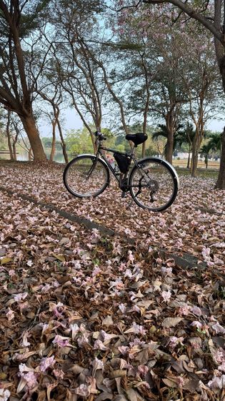 จักรยาน ทัวร์ริ่ง Araya สภาพใหม่มาก เพิ่งซื้อมา