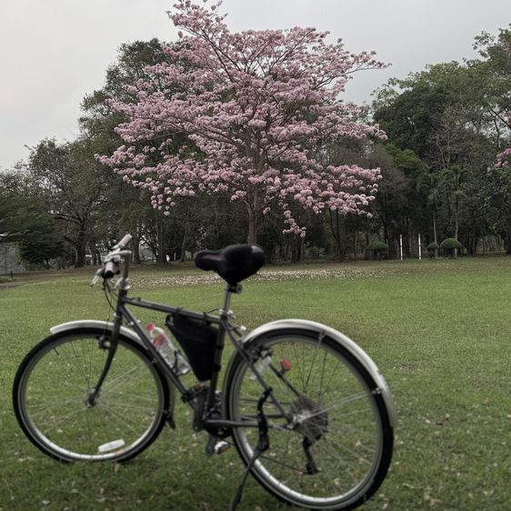 จักรยาน ทัวร์ริ่ง Araya สภาพใหม่มาก เพิ่งซื้อมา รูปที่ 2