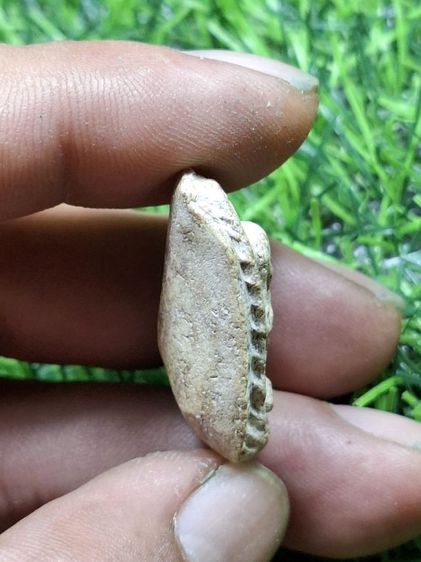 (ปิดแล้วครับ)ส่วนตัวดูแท้ พระปิดตาเนื้อผงเก่า ไม่ทราบที่ รูปที่ 3