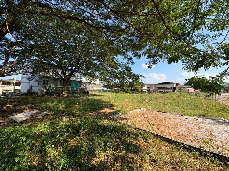 ขายที่ดินเปล่าตัวเมืองน่าน 10 ล้านบาท รูปที่ 3