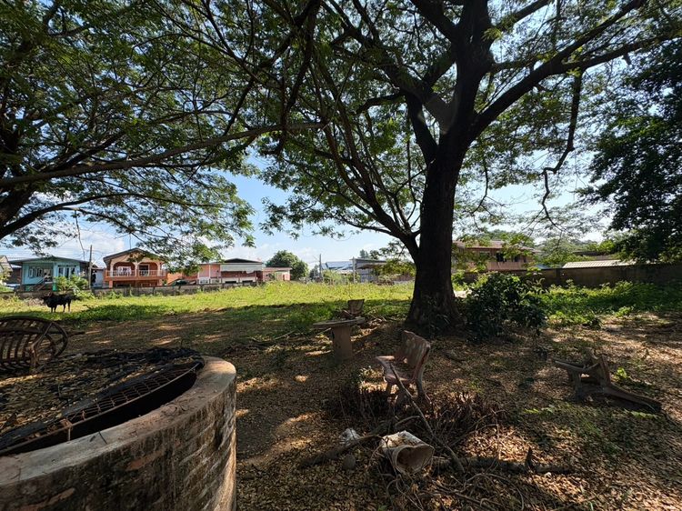 ขายที่ดินเปล่าตัวเมืองน่าน 10 ล้านบาท รูปที่ 4