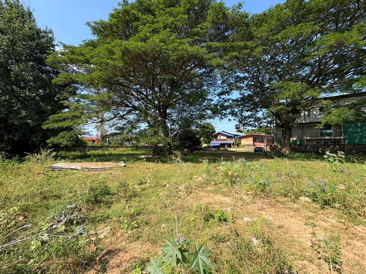 ขายที่ดินเปล่าตัวเมืองน่าน 10 ล้านบาท