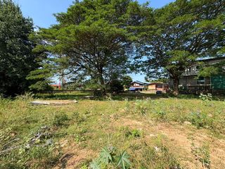 ขายที่ดินเปล่าตัวเมืองน่าน 10 ล้านบาท