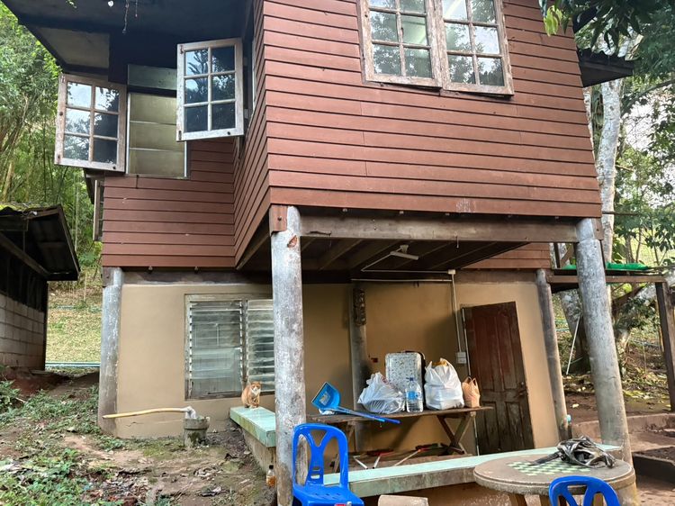 ขายบ้านพร้อมที่ดินวิวภูเขา แบ่งทำลานกางเต็นท์ 12ไร่ รูปที่ 2