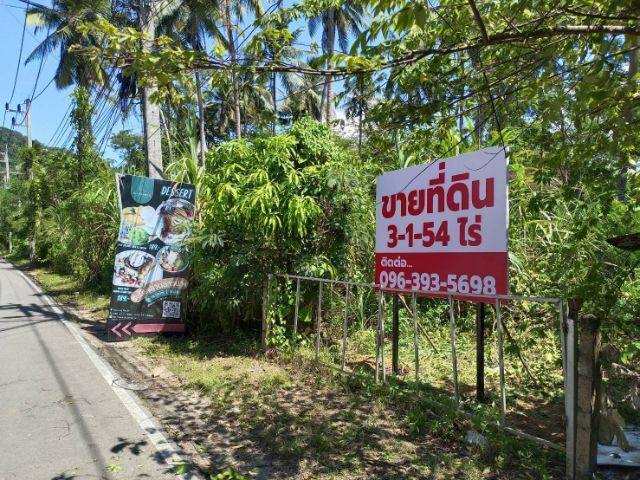 ขายที่ดินใกล้อ่าวนาง จ.กระบี่ รูปที่ 3