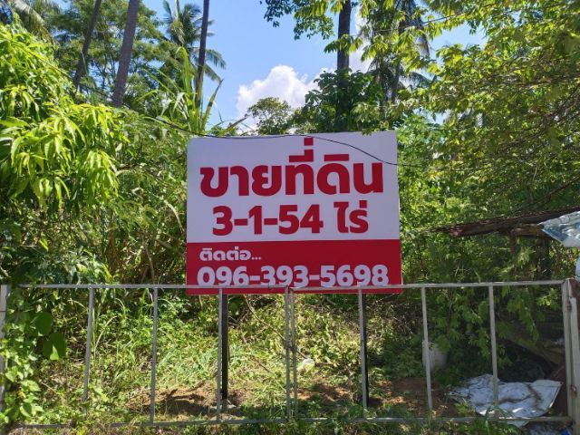 ขายที่ดินใกล้อ่าวนาง จ.กระบี่ รูปที่ 4