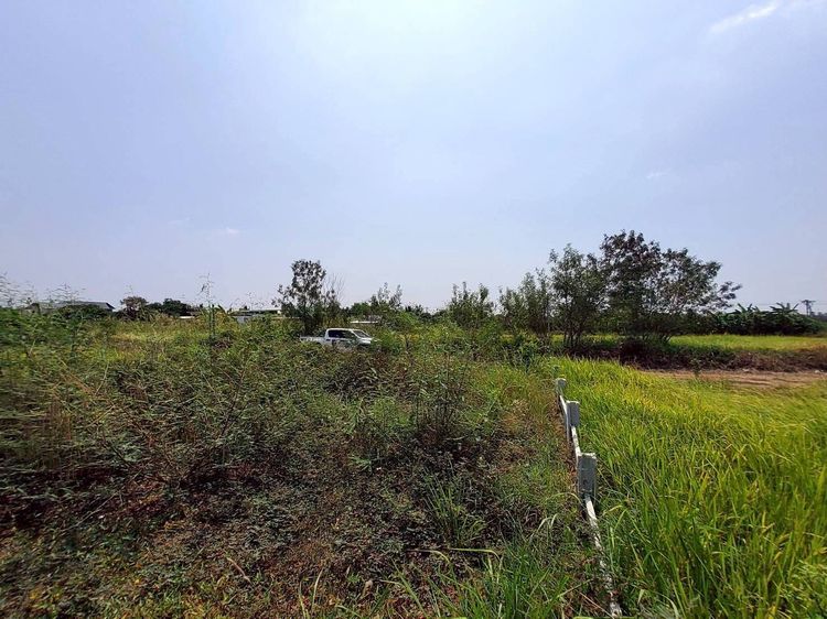 ขายด่วนที่ดินตรงข้ามองค์การบริหารตำบลบ่อเงิน 40 ตรว ติดถนนสาธารณะ ถมแล้วต.บ่อเงิน อ.ลาดหลุมแก้ว จ.ปทุมธานี  รูปที่ 4