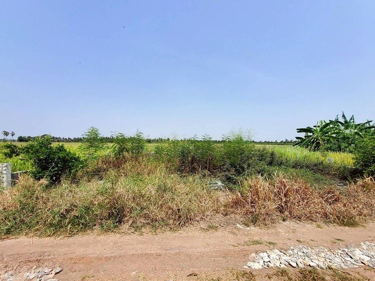 ขายด่วนที่ดินตรงข้ามองค์การบริหารตำบลบ่อเงิน 40 ตรว ติดถนนสาธารณะ ถมแล้วต.บ่อเงิน อ.ลาดหลุมแก้ว จ.ปทุมธานี 