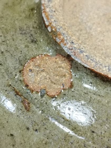 ถ้วยมัทฉะ ถ้วยชาเขียวเซรามิกญี่ปุ่นโบราณ รูปที่ 7