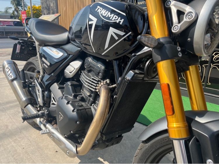 Triumph  รูปที่ 3