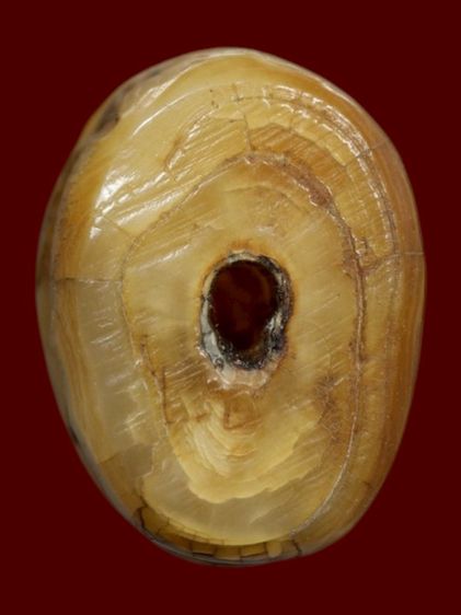 ส. หลวงพ่อปาน วัดคลองด่าน จ.สมุทรปราการ รูปที่ 4