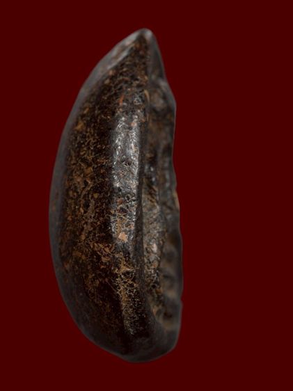 ปิดตาหลวงพ่อแก้ว วัดพวงมาลัย รูปที่ 4