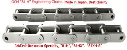 จำหน่ายโซ่ OCM TR Top Roller Chain,  โซ่สแตนเลส  โซ่เหล็ก ยี่ห้อ OCM รูปที่ 16