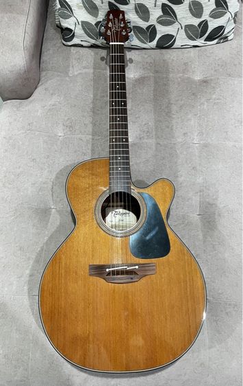 Takamine P1NC