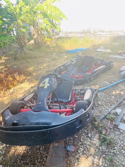 โกคาร์ท รูปที่ 2