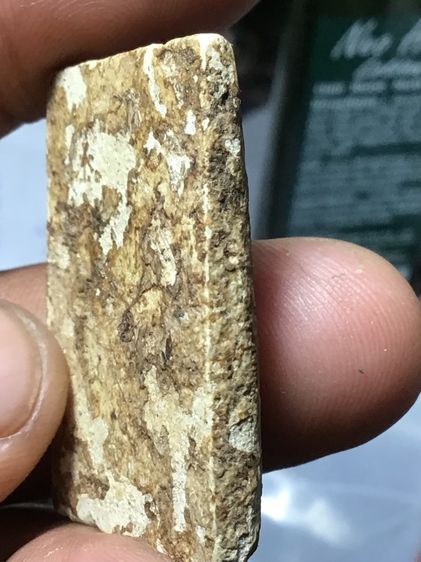 สมเด็บางขุนพรหม กรุใหม่ รูปที่ 3