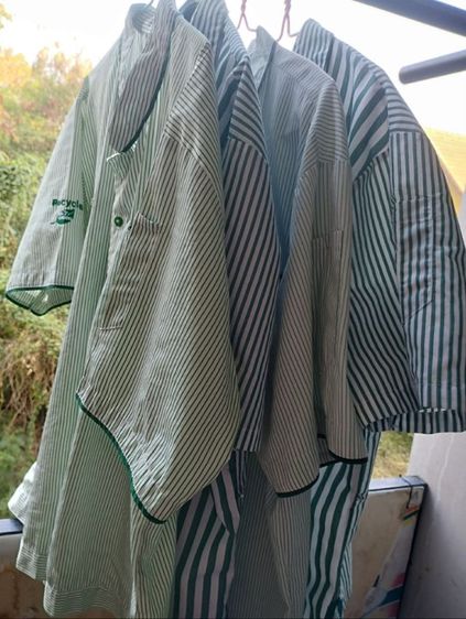 เสื้อ7-11 แบบใหม่ 2XL รูปที่ 2