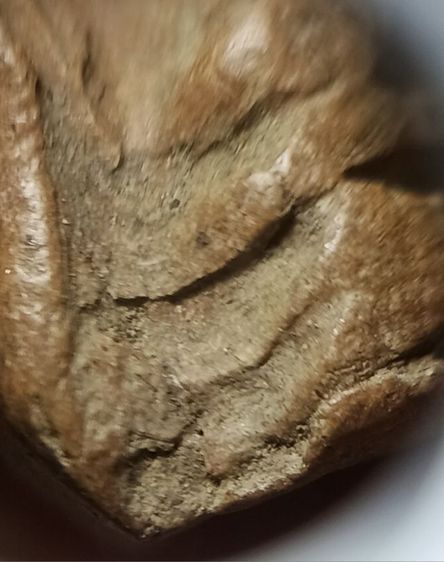 พระรอดมหาวัน รูปที่ 11