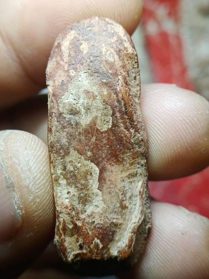 พระลีลาเม็ดขนุน รูปที่ 2