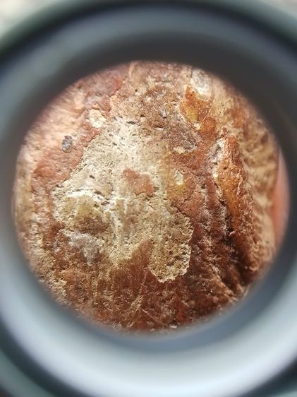 พระลีลาเม็ดขนุน รูปที่ 4