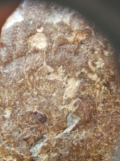 พระซุ้มกอพิมพ์กลาง รูปที่ 4