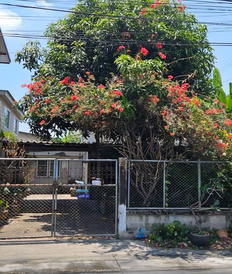 ขายบ้านแฝด 2 ชั้น ประชานิเวศน์ 3 ซ.39ทับ1 ทำเลดี ใกล้ทางด่วน รูปที่ 3