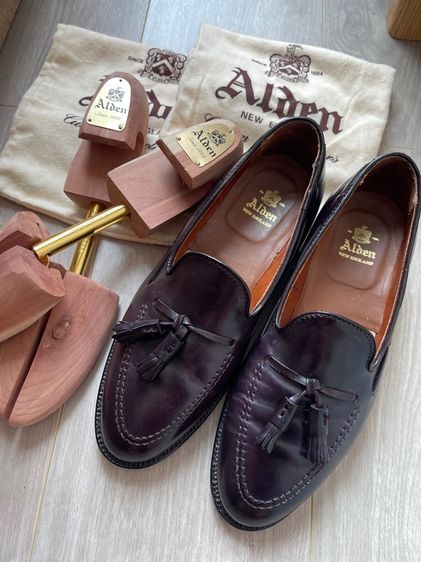 Alden  รูปที่ 9