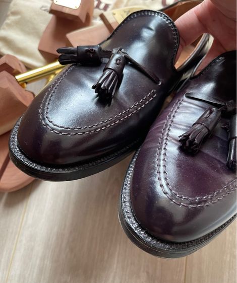 Alden  รูปที่ 14