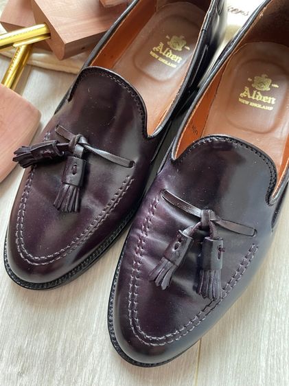 Alden  รูปที่ 15