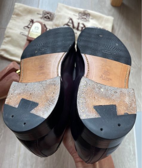 Alden  รูปที่ 8