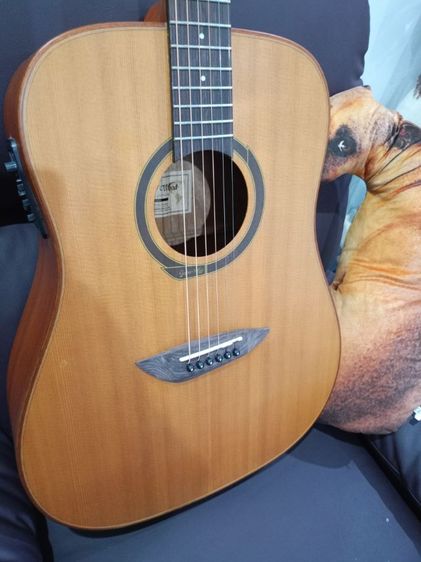 gopher wood g200ทรงจัมโบ้
 รูปที่ 5