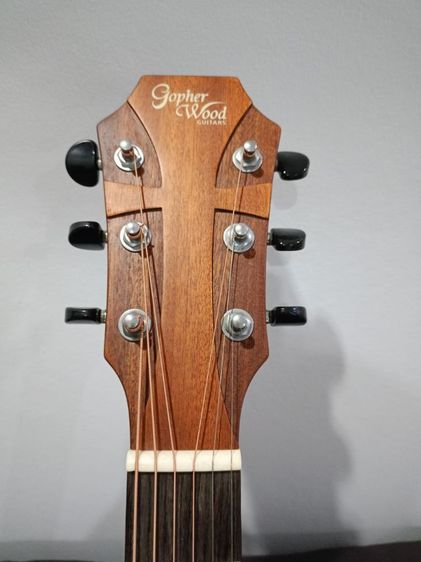 gopher wood g200ทรงจัมโบ้
 รูปที่ 2