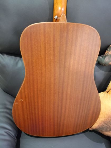 gopher wood g200ทรงจัมโบ้
 รูปที่ 9