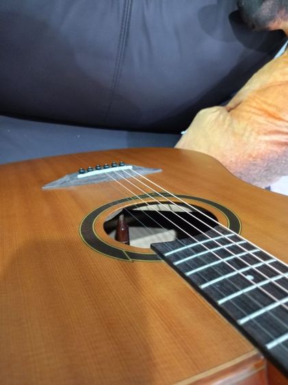 gopher wood g200ทรงจัมโบ้
 รูปที่ 11