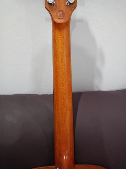 gopher wood g200ทรงจัมโบ้
 รูปที่ 8