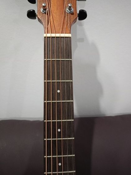 gopher wood g200ทรงจัมโบ้
 รูปที่ 3