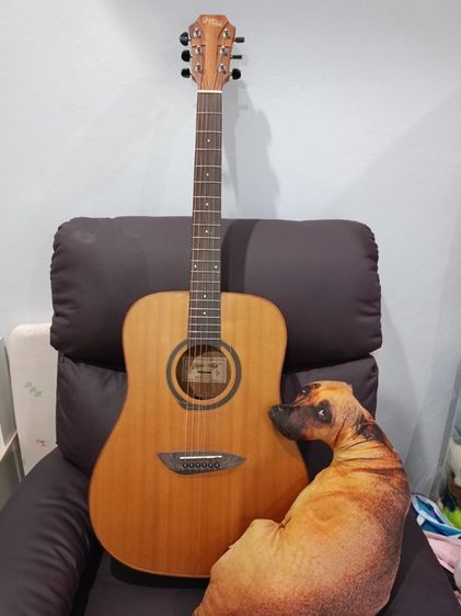 gopher wood g200ทรงจัมโบ้
 รูปที่ 4