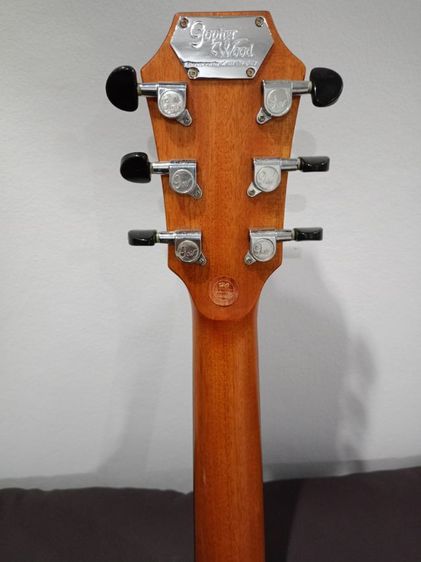 gopher wood g200ทรงจัมโบ้
 รูปที่ 6