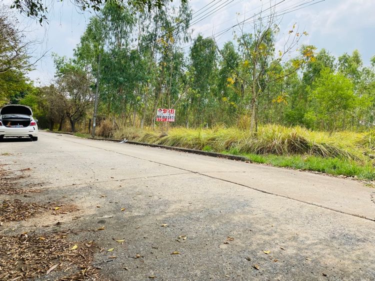 ใช่ ขายที่ดินด่วนถูก คลองหลวงคลองสาม วา6200บาท