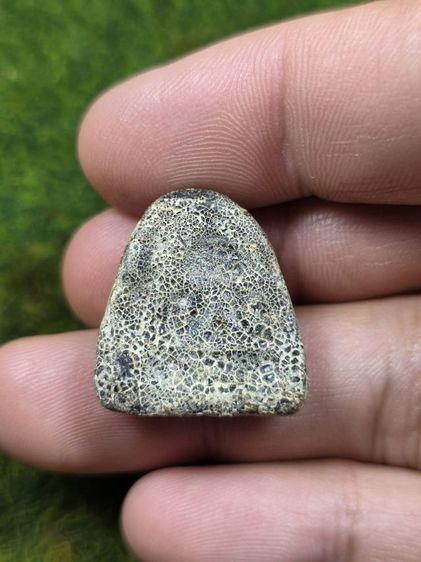 พระปิดตาหลวงปู่เอี่ยมแตกลายงาเก่าๆ รูปที่ 2