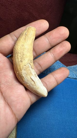 ปล่อยพระค่ะ รูปที่ 8