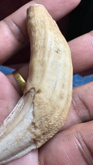 ปล่อยพระค่ะ รูปที่ 5