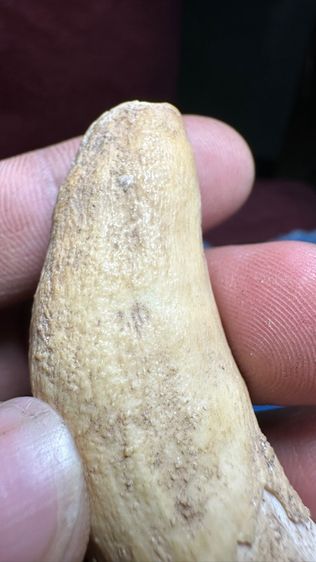 ปล่อยพระค่ะ รูปที่ 7