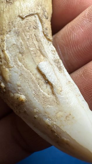 ปล่อยพระค่ะ รูปที่ 2