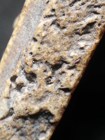 พระสมเด็จเนื้องามๆครับ รูปที่ 13