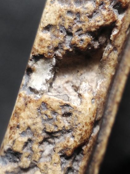 พระสมเด็จเนื้องามๆครับ รูปที่ 14